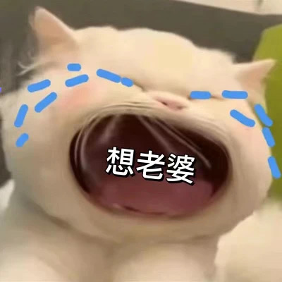 刚打完